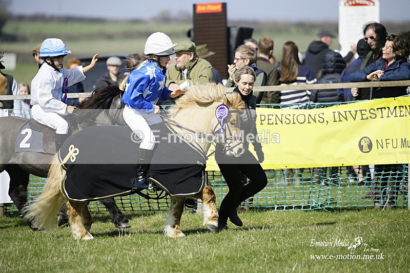 PtP 190322 107 - Wilton Hunt PtP Milborne St Andrew 19/03/22