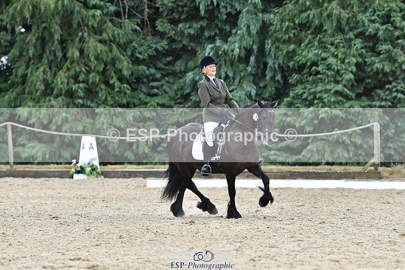 260801A-122254-03909 - Prelim Bronze Break - End