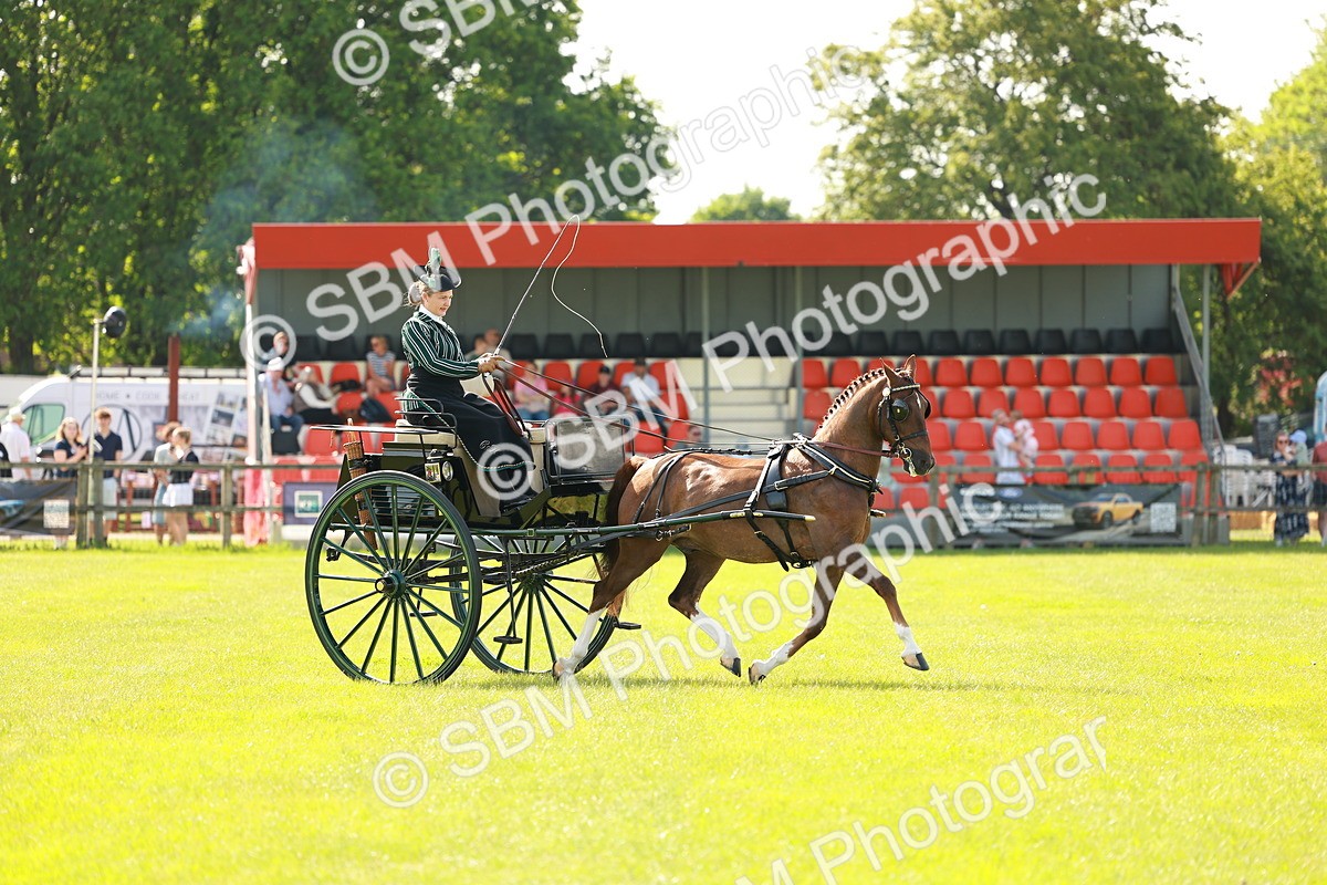 SBM_01229 - Class 2-4 - HOYS Private Driving