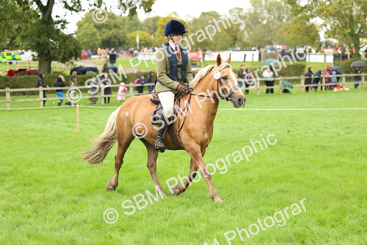 1I0A1436 - S32 - Mountain & Moorland Working Hunter Pony