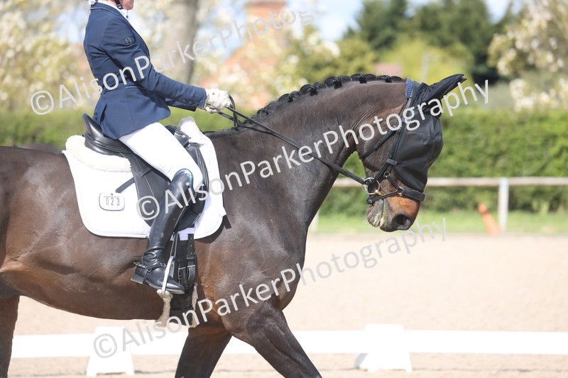 20260405-0649 - Class 7 - Medium 5