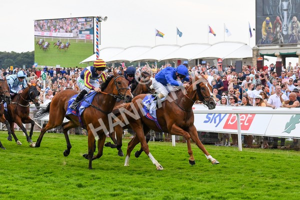 170623-Race 2-Wild Lion-0362 - Race 2 2.35pm Sky Bet Handicap