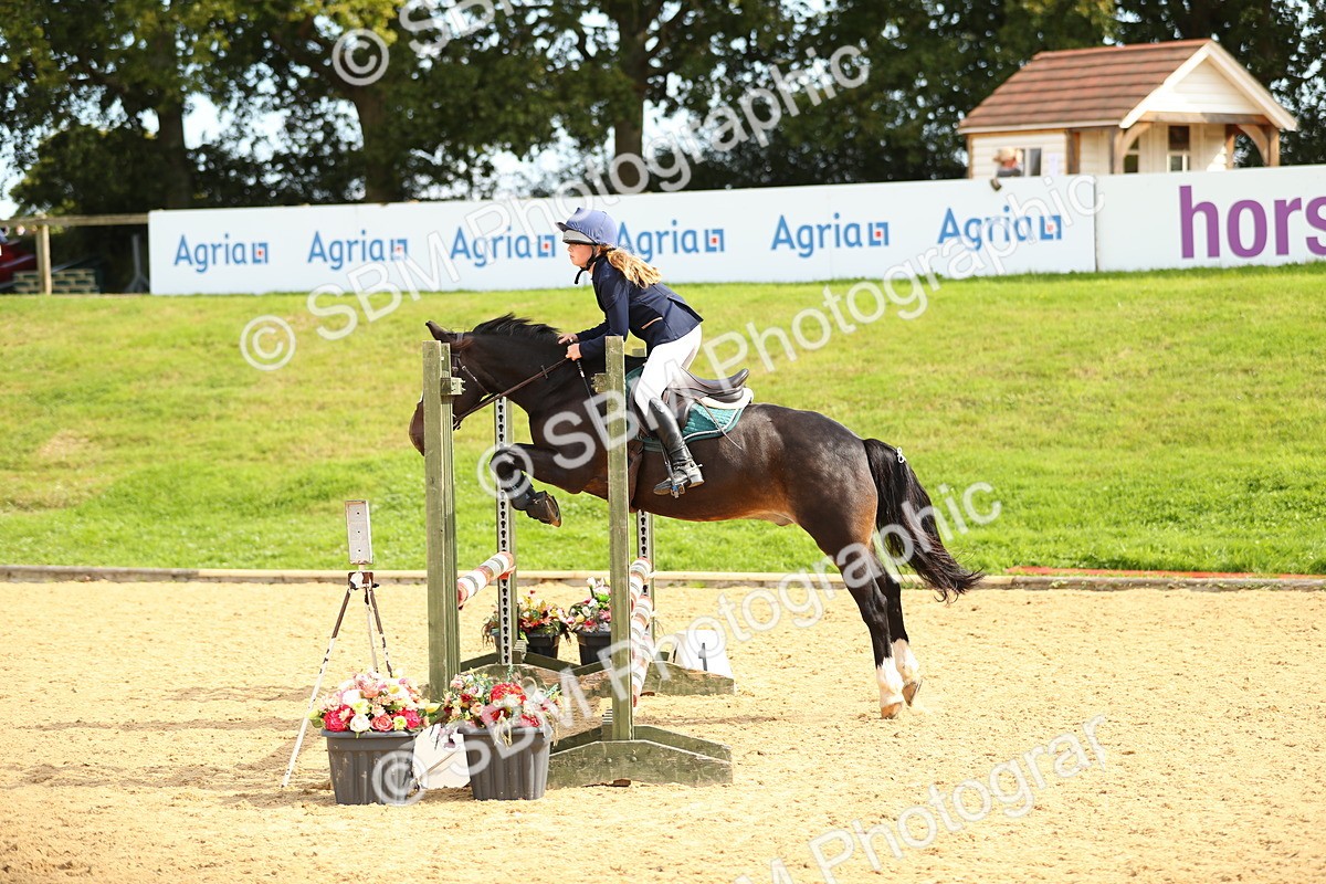 SBM_66125 - J17 - Junior Pony 80cm Championship