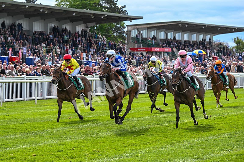 160526-Race 2-Kodi Bear Light-9305 - Race 2 2.23pm Marion Gibson Brown Memorial - Irish EBF Restricted Maiden Fillies' Stakes (Div II)