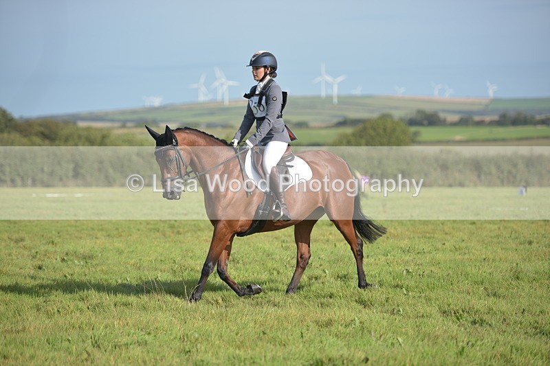 RAY_7534 - Class 2B: Trekenning Open: Dressage