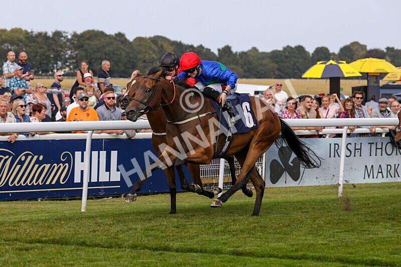 310824-Race 4-Spirit Of Applause-1567 - Race 4