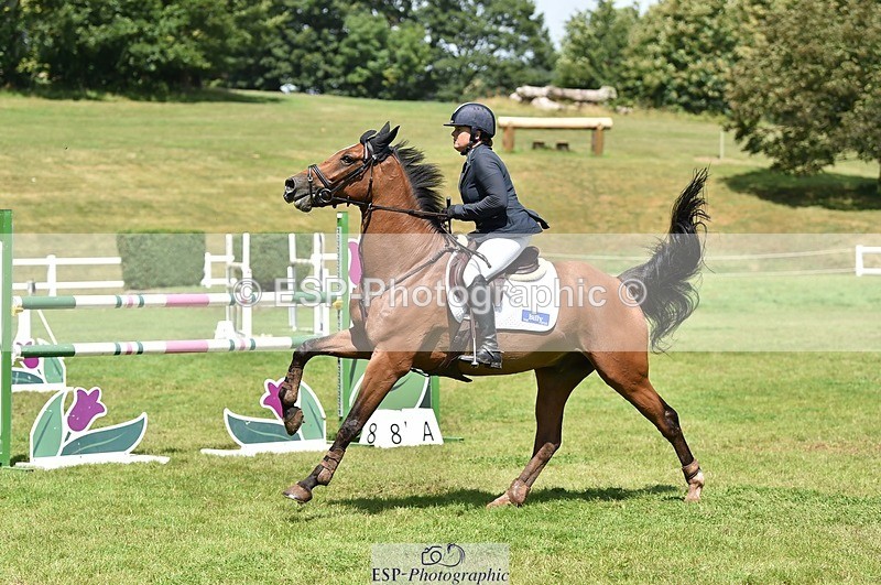 230709-121256-18613 - Cls 32 Foxhunter Second Round