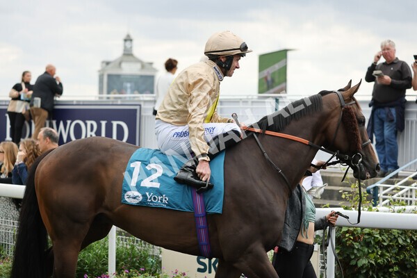 yr04092022r2-8 - Race 2 2.20pm John and Judith Marshall Memorial Stakes