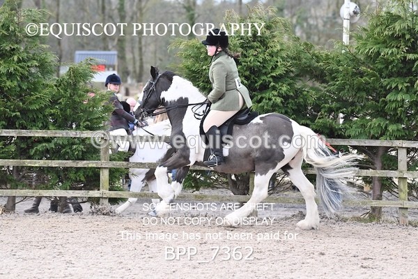 BPP_7362 - RING 1  (RIDDEN HORSES / IN HAND / VETERAN ETC)