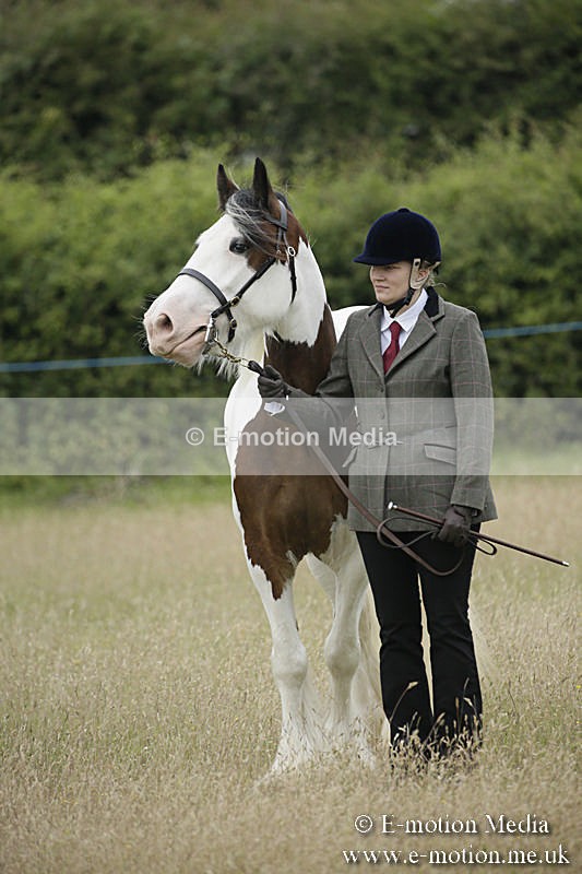B230619-0060 - Bourne Valley Riding Club Summer Show 23/06/19