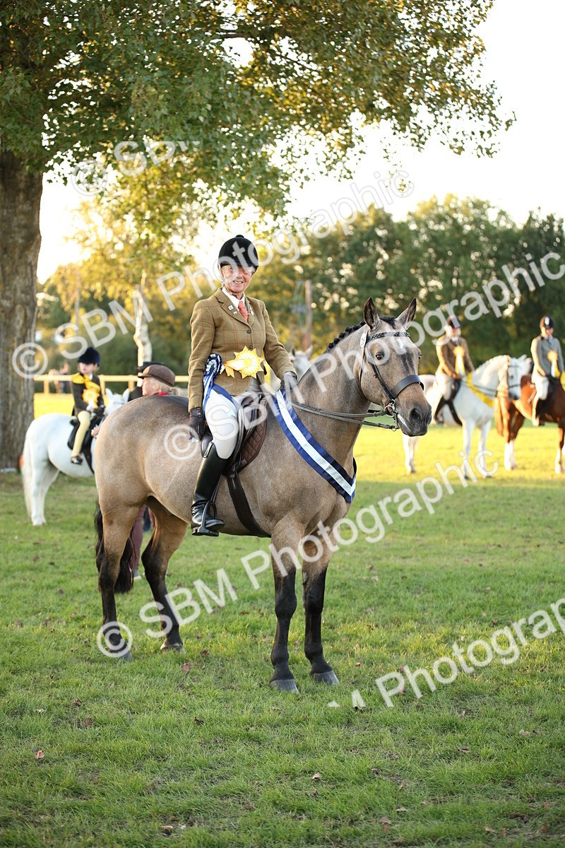 SBM_57073 - Veteran Supreme Championship