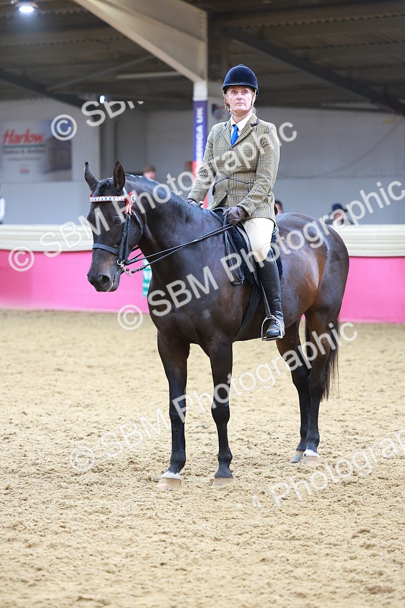 SBM_09835 - Class 102 - HOYS Veteran Qualifier - Ridden Veteran