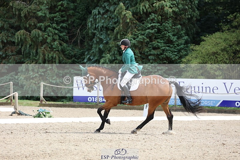 250718A-153114-02595 - 152-Tracy.OKennedy-Wylye.Harlequin