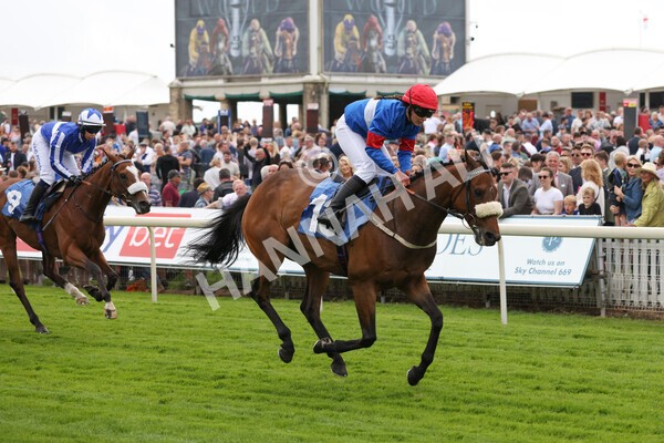 yr11062022r2-89 - Race 2 2.00pm Queen Mother's Cup