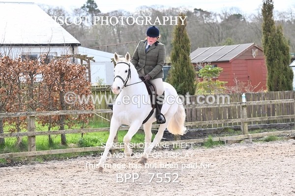 BPP_7552 - RING 1  (RIDDEN HORSES / IN HAND / VETERAN ETC)