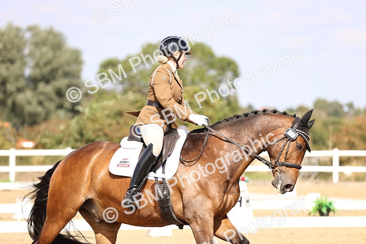 SBM_015117 - Class 6 - Elementary 5