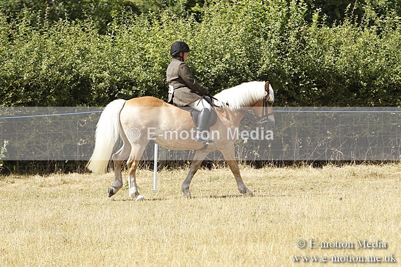 _BS_0709 - BVRC Show 2018 Ring 1