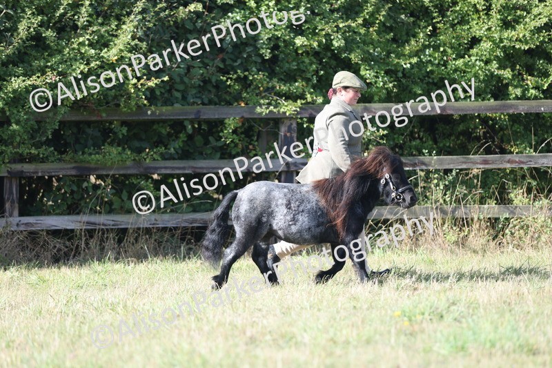 20250831-1386 - Class 21 - Inhand Open