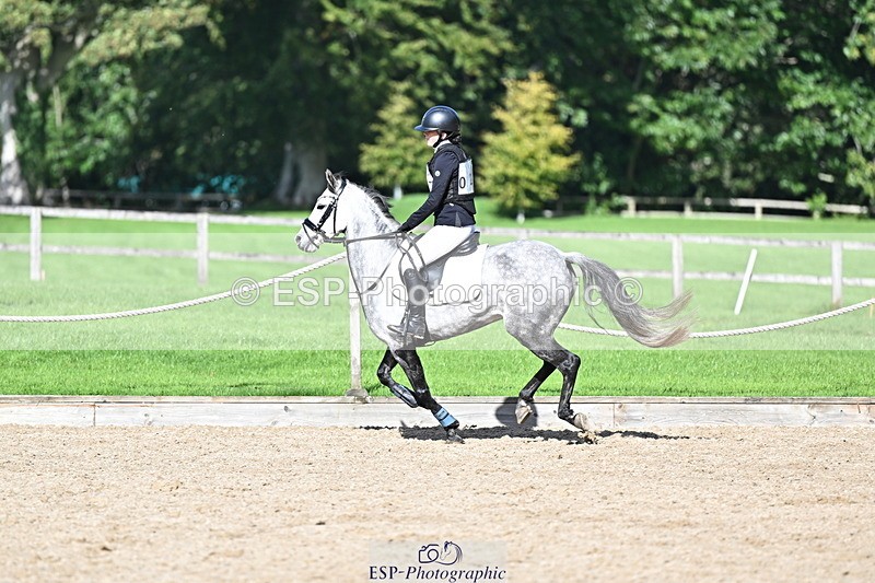 251005A-140605-04282 - Cls 09 Nov 80-85cm