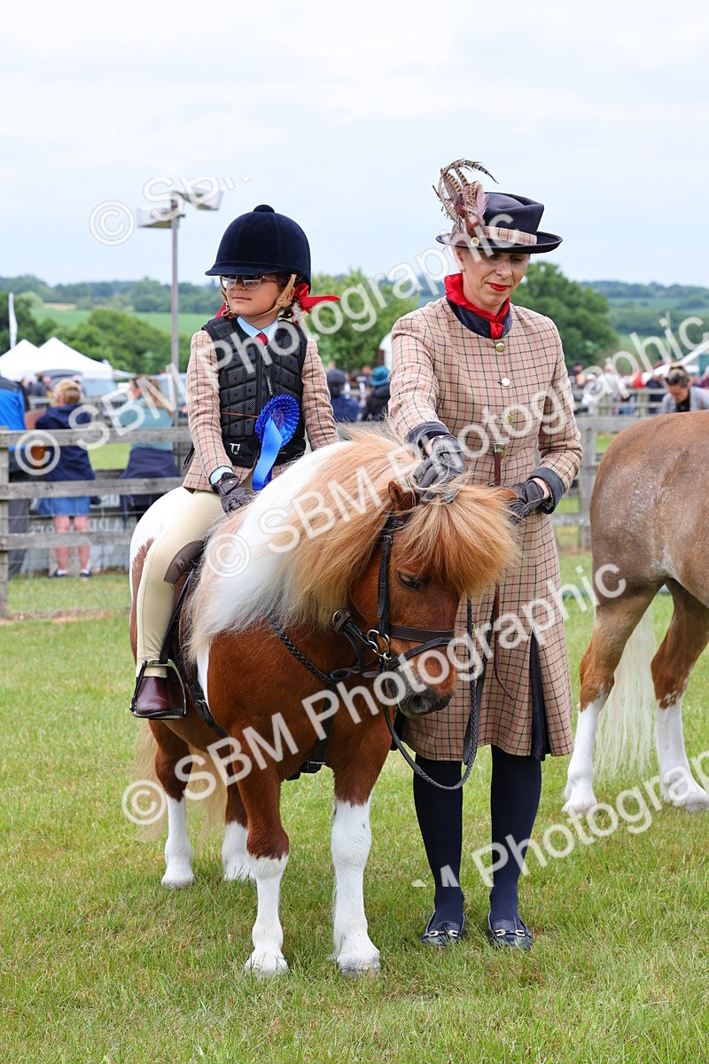 SBM_08365 - Class 42-43 - LIHS BSPS Heritage Working Sports Pony