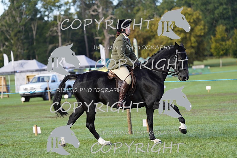 _DSC9346 - Class 8 & 17 Ridden Hunter & Ridden Hunter Pony