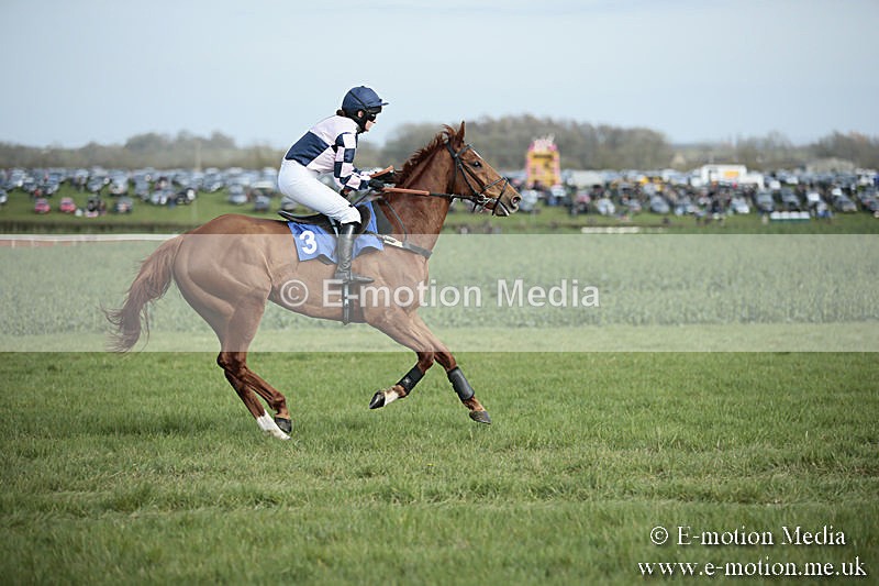 PtP 230319 319 - VWH Hunt Siddington Point-to-Point Racing 23/03/19