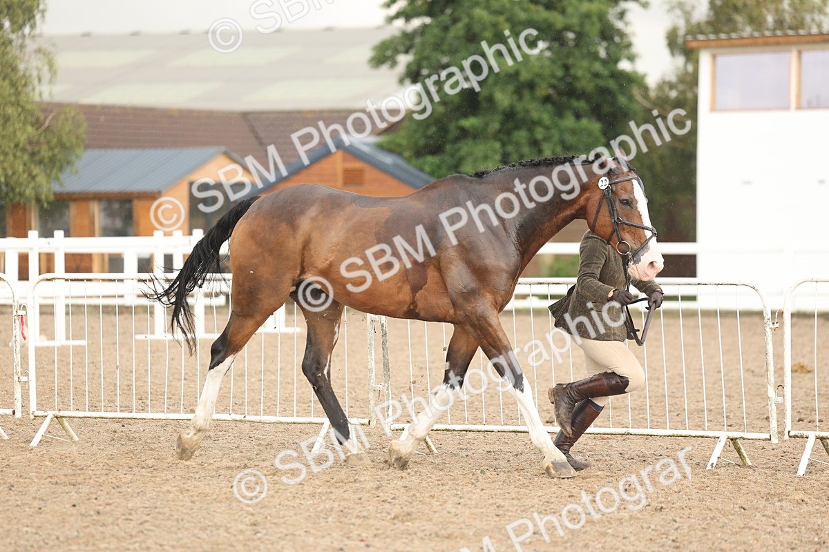 SBM_07760 - Class 27 - IH Competition Horse/Pony