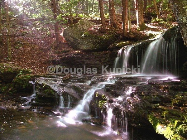  - Allegheny National Forest