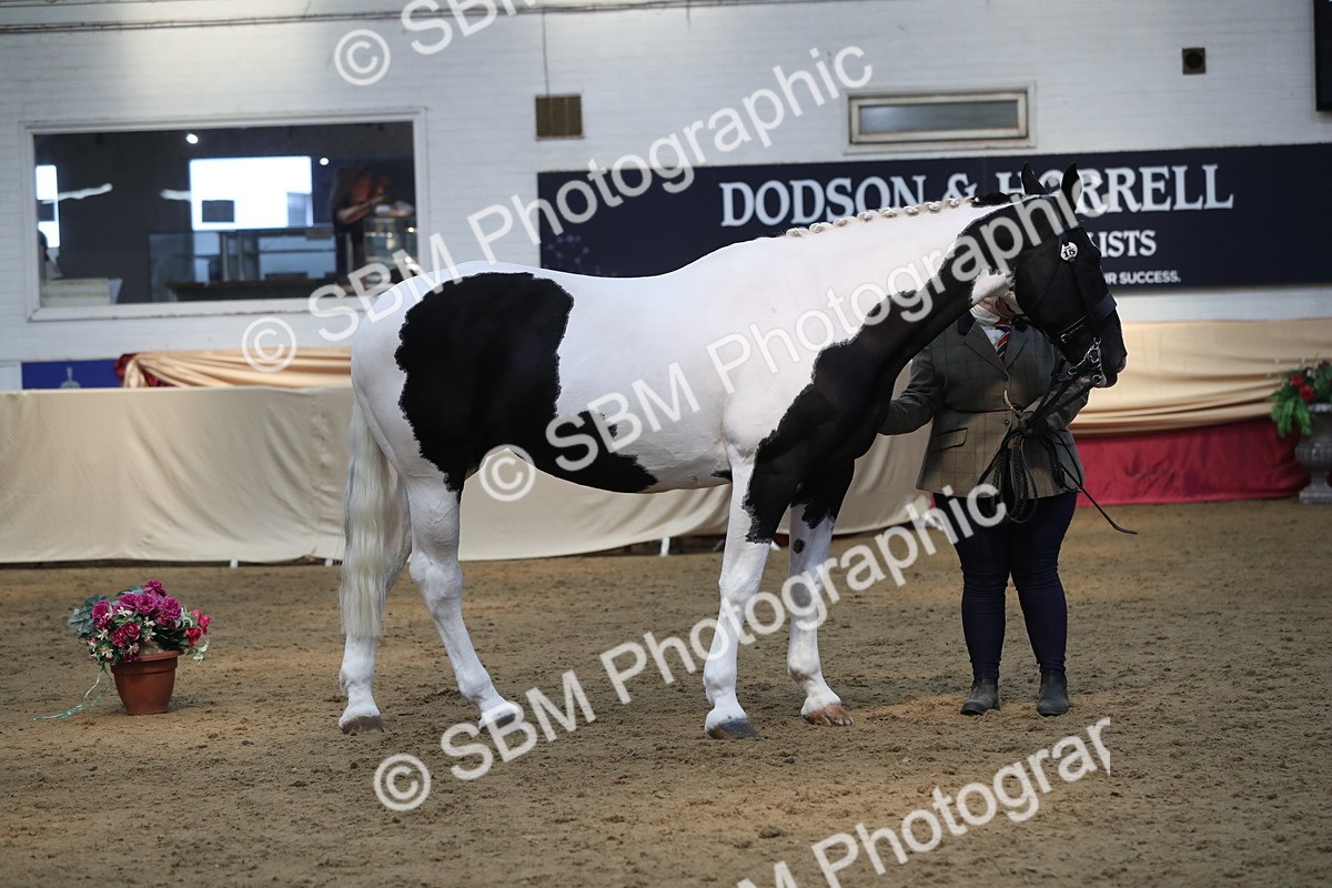 SBM_06227 - Class 9R Regional- IH Pre Vet