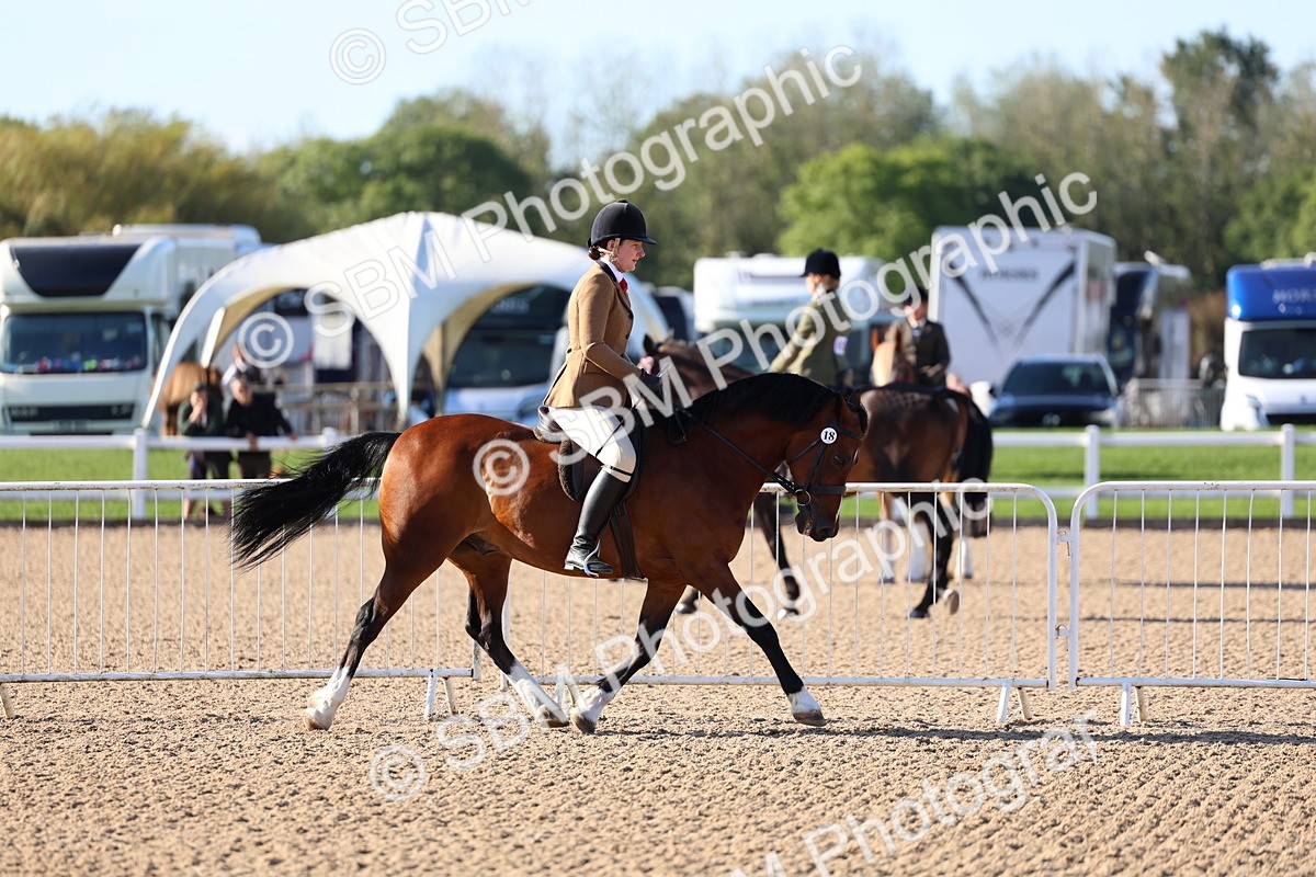SBM_08836 - Class 302 - Ridden M&M - Large Breeds
