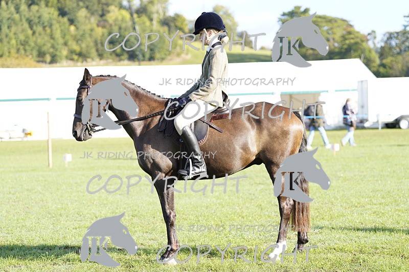 _DSC9414 - Class 8 & 17 Ridden Hunter & Ridden Hunter Pony