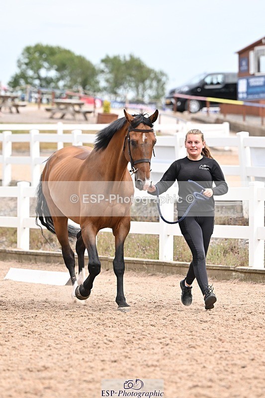 250716-154310-02157 - Trot Up 3.30 to 4.30