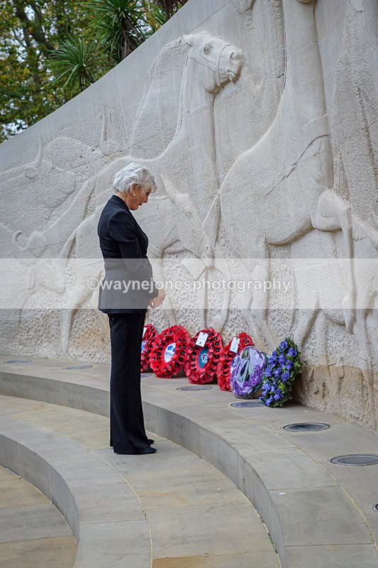 NGP_8217 - 2024 Animals in War Remembrance Gathering