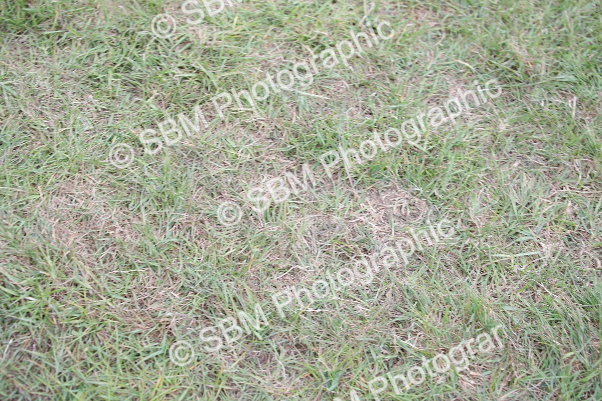 SBM_07952 - Grand Parade