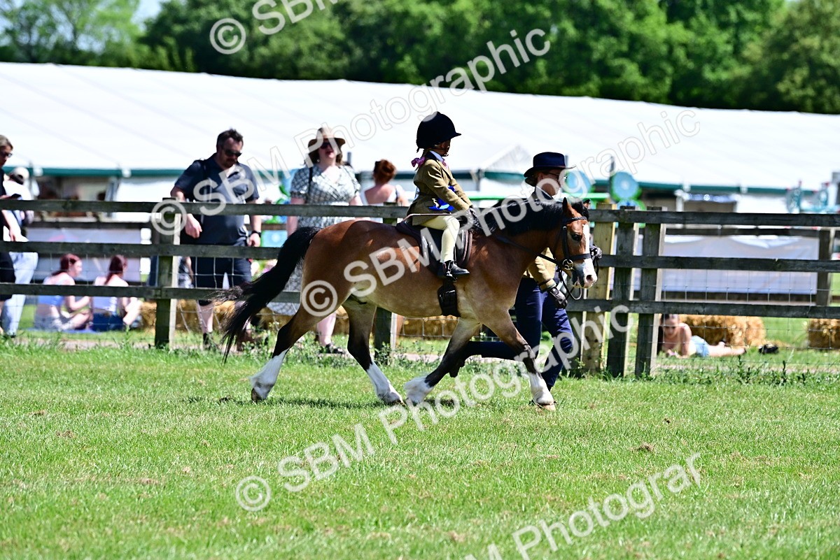 SBM_06443 - Class 59-60 - TSR M&M  Lear Rein and First Ridden Amateur of the year