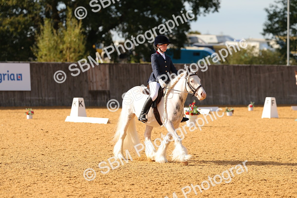 SBM_49654 - D22 - Junior Championship - Intro B