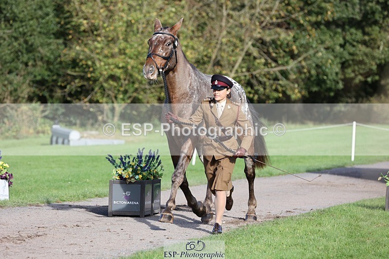 241027-102518-15875 - 501-Captain.Holly.Day-MUSTANG