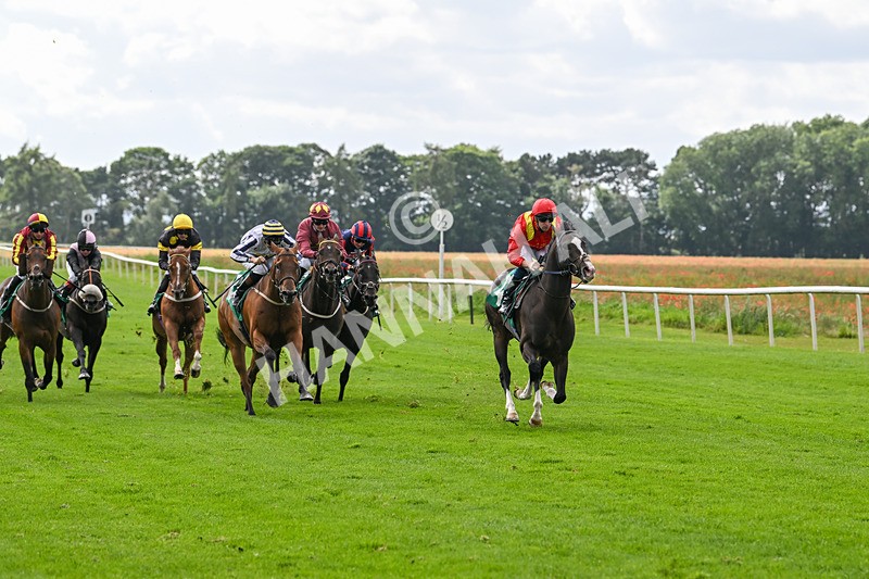 090824-Race 4-Law Of Average-4666 - Race 4