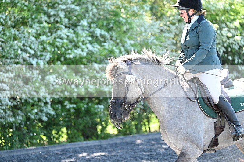 WJ7_9381 - Time 12:10 to 12:21