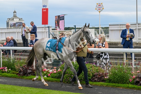 270724-Race 4-Greydreambeliever-7135 - Race 4 4.00pm Sky Bet Club EBF Fillies' Novice Stakes