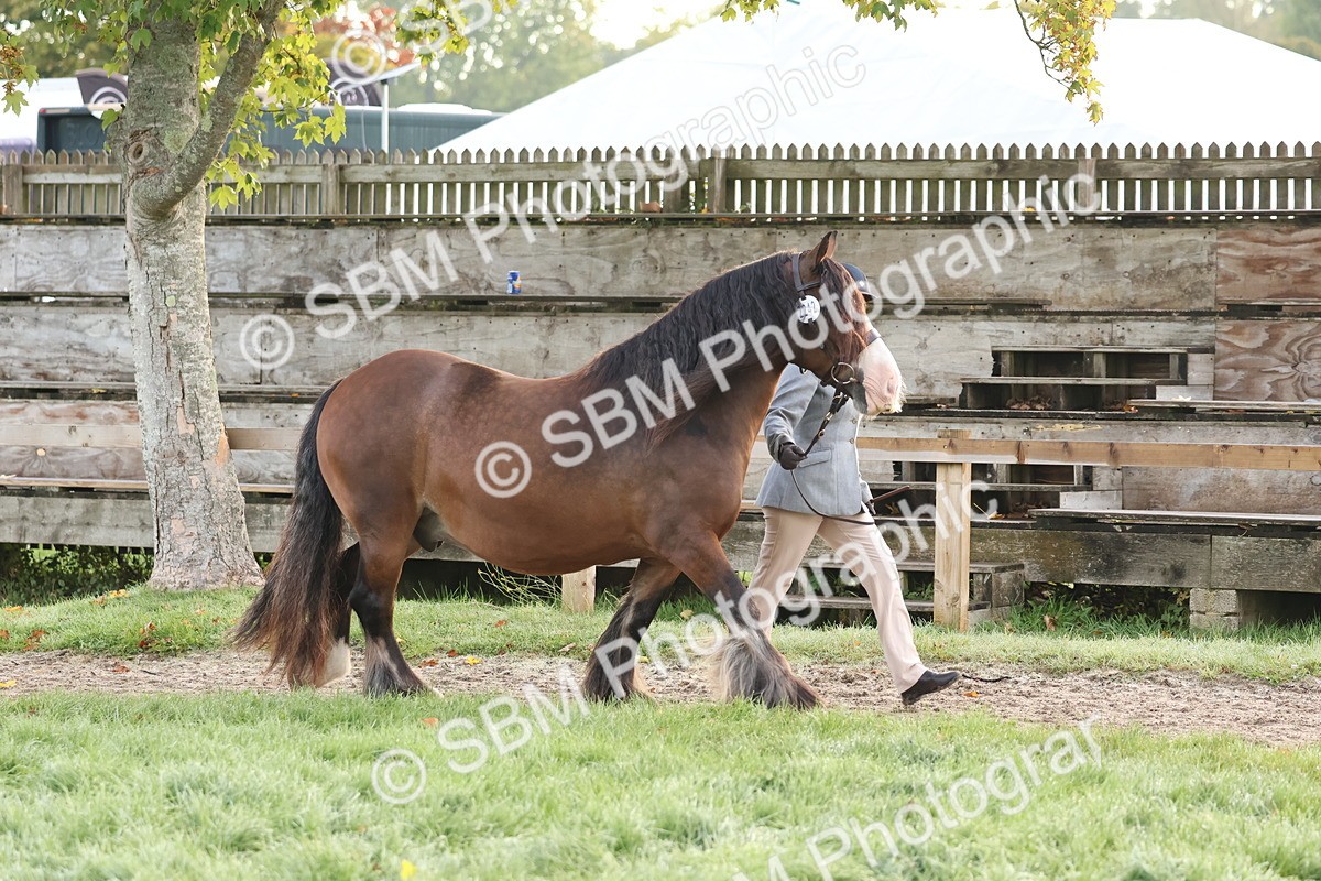 SBM_54481 - S38 - Starters Best Turnout