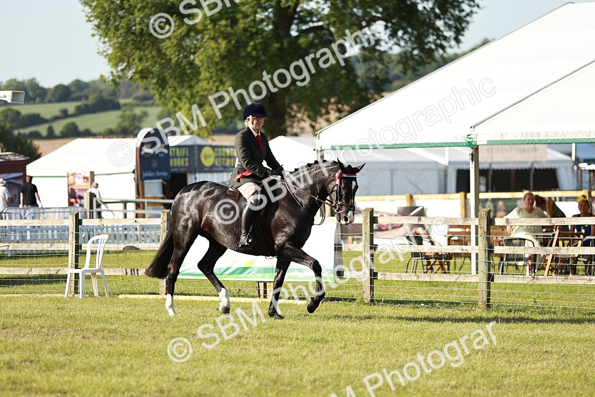 SBM_20073 - Class 115-116 - LIHS BSHA Rising Star Working Hunter & Show Horse
