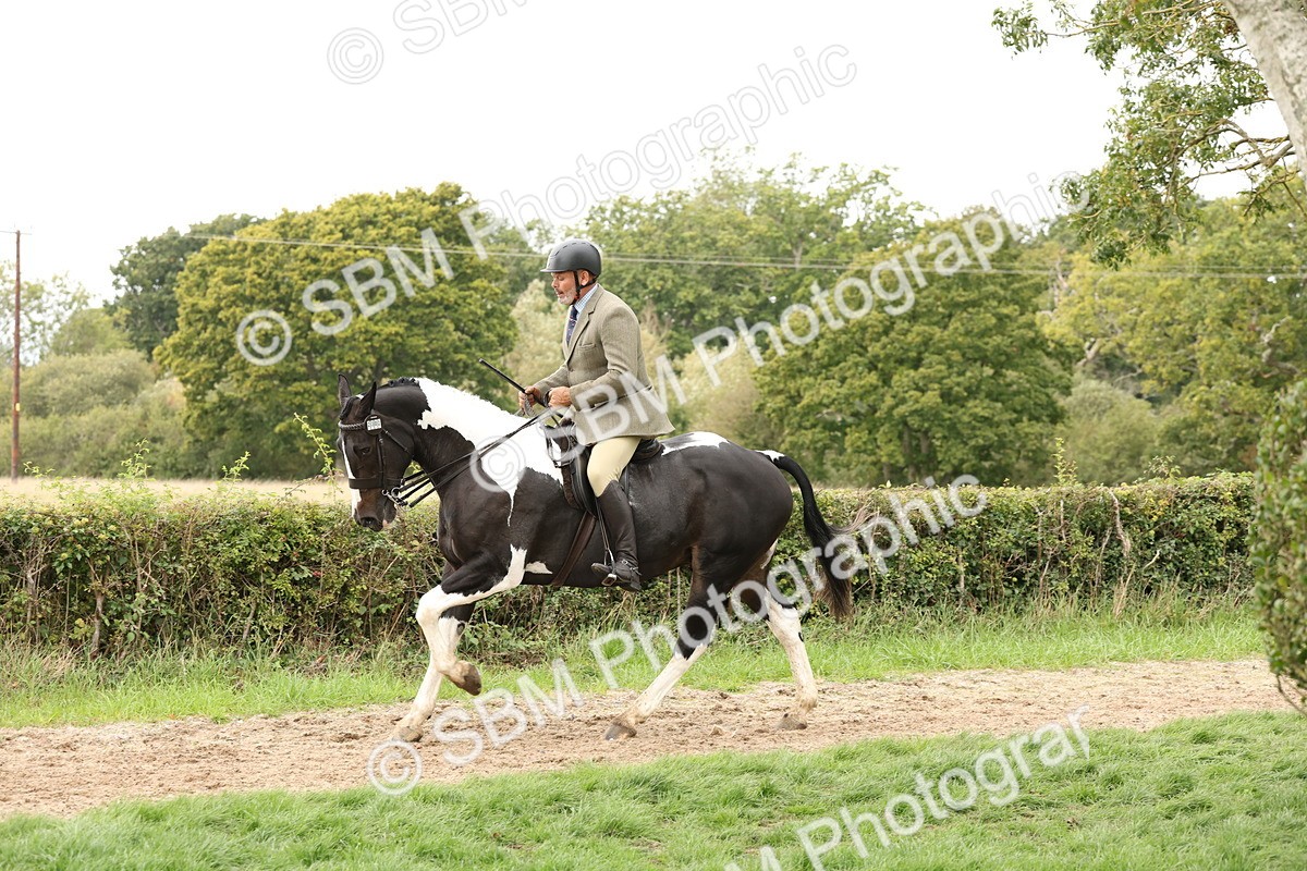 SBM_67266 - S67 - Piebald & Skewbald Horse Ridden