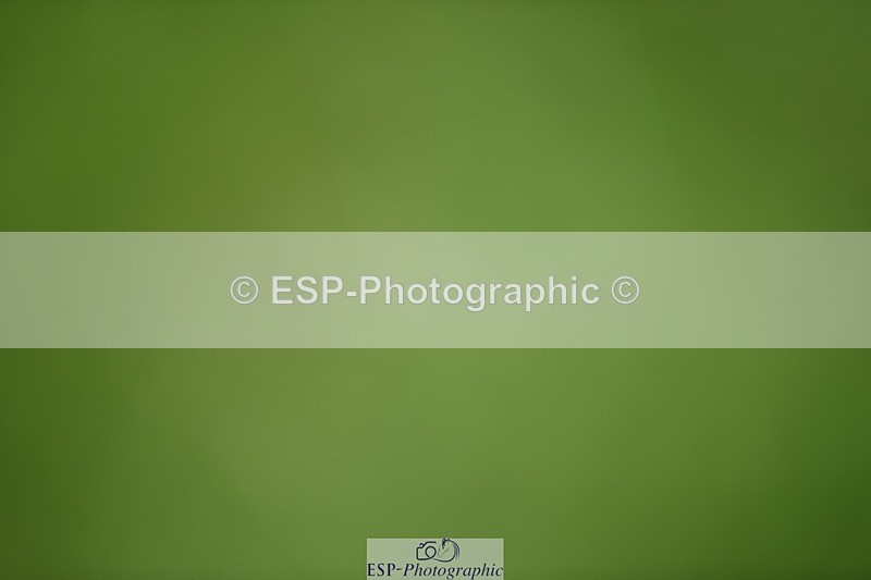 240605-131048-00376 - Cls 5 Elementary 43