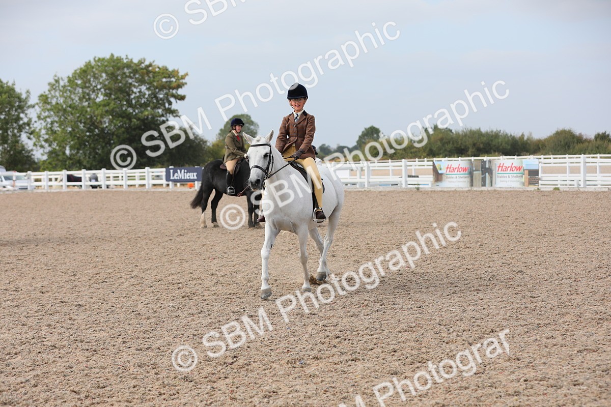 SBM_17013 - Class 314 Family Horse/Pony