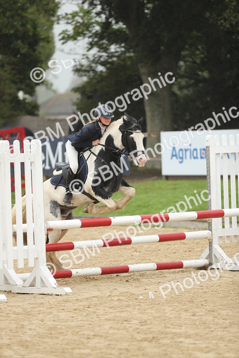 SBM_73771 - J16 - Junior Pony 75cm Championship