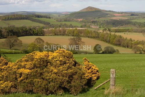 146 - SCOTTISH BORDERS