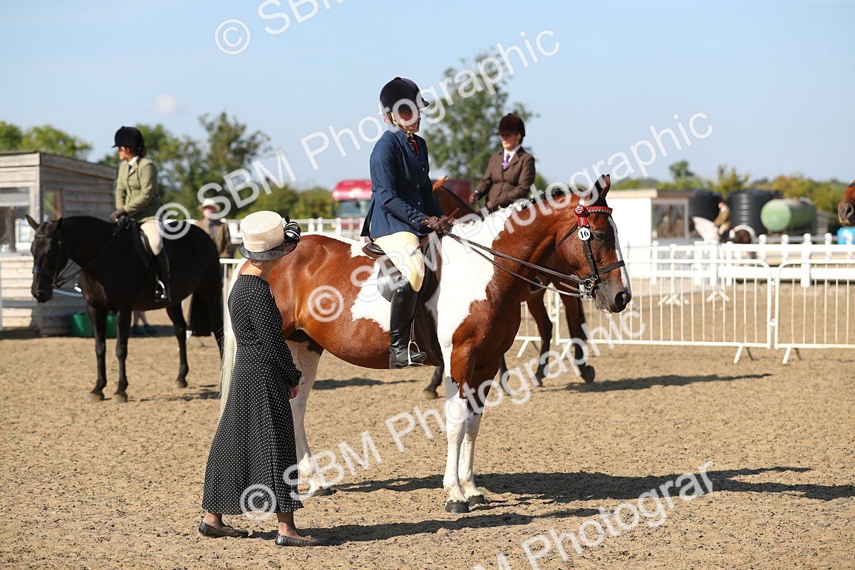 SBM_02279 - Class 43 Ridden Competition Horse/Pony