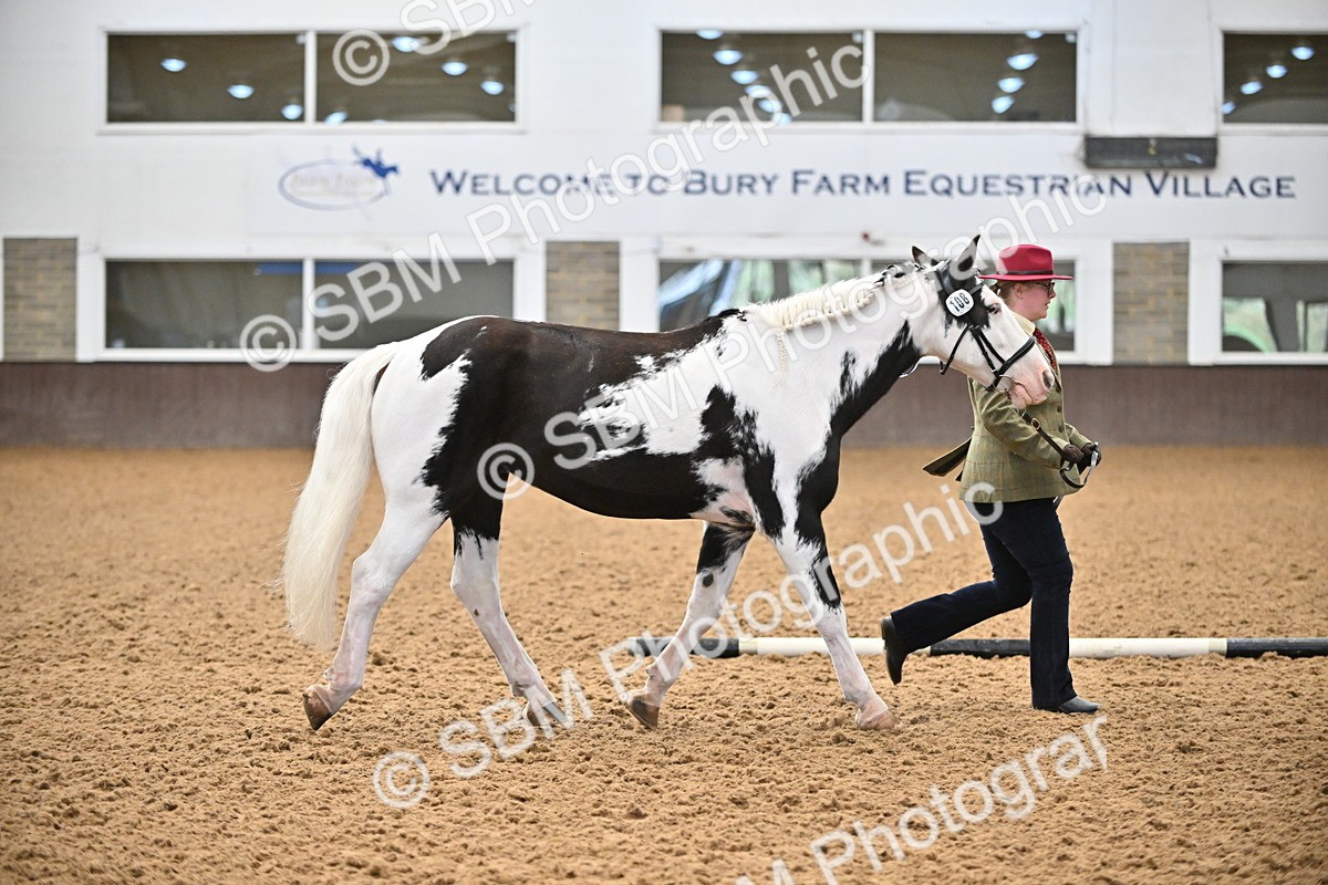 SBM_000300 - Class 10 - In Hand Coloured & Odd Coloured