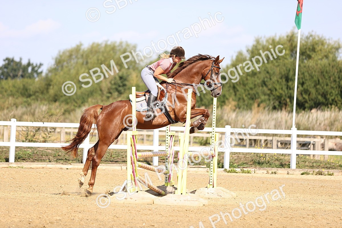 SBM_005605 - Class 9 - Senior British Novice - 90cm